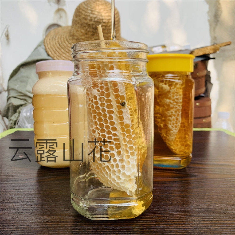 带树枝云南纯野生小挂蜜天然深山小草蜂排蜜蜂巢蜜嚼着吃非土蜂蜜