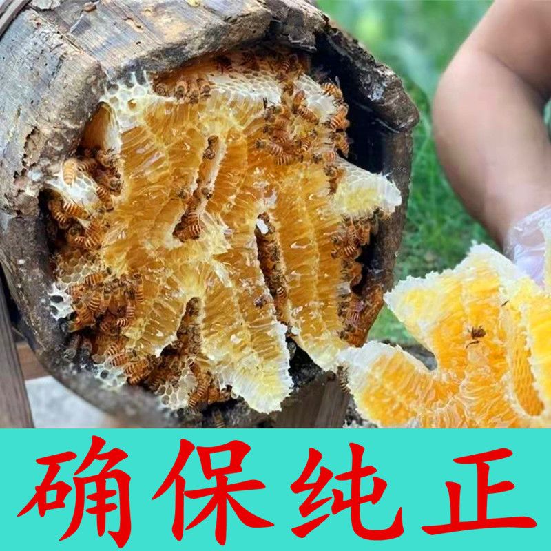 农家纯正天然野生土蜂蜜块结晶蜜蜂巢蜜百花蜜枸杞食用蜂王深山蜜