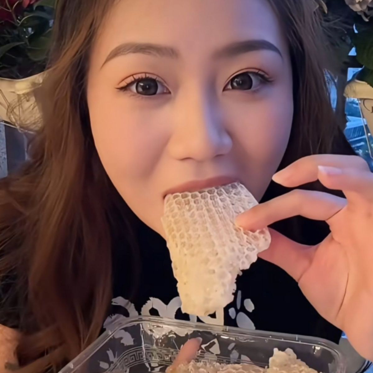 小潘同款微蜜小张天然蜂巢胚赘蜜脾蜂窝蜂巢新鲜美容低脂低卡
