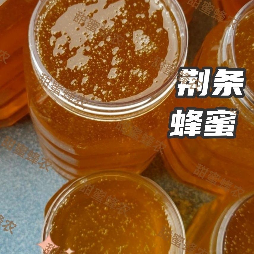 荆条蜜野生成熟原蜜农家自产孕妇儿童荆条花蜂蜜瓶装纯蜂蜜