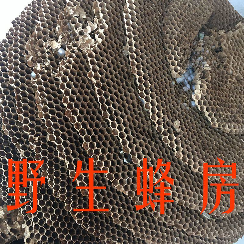 天然野生蚂蜂窝蜂巢蜂房马蜂黄蜂地雷蜂巢蜜蜂巢250克牙疼