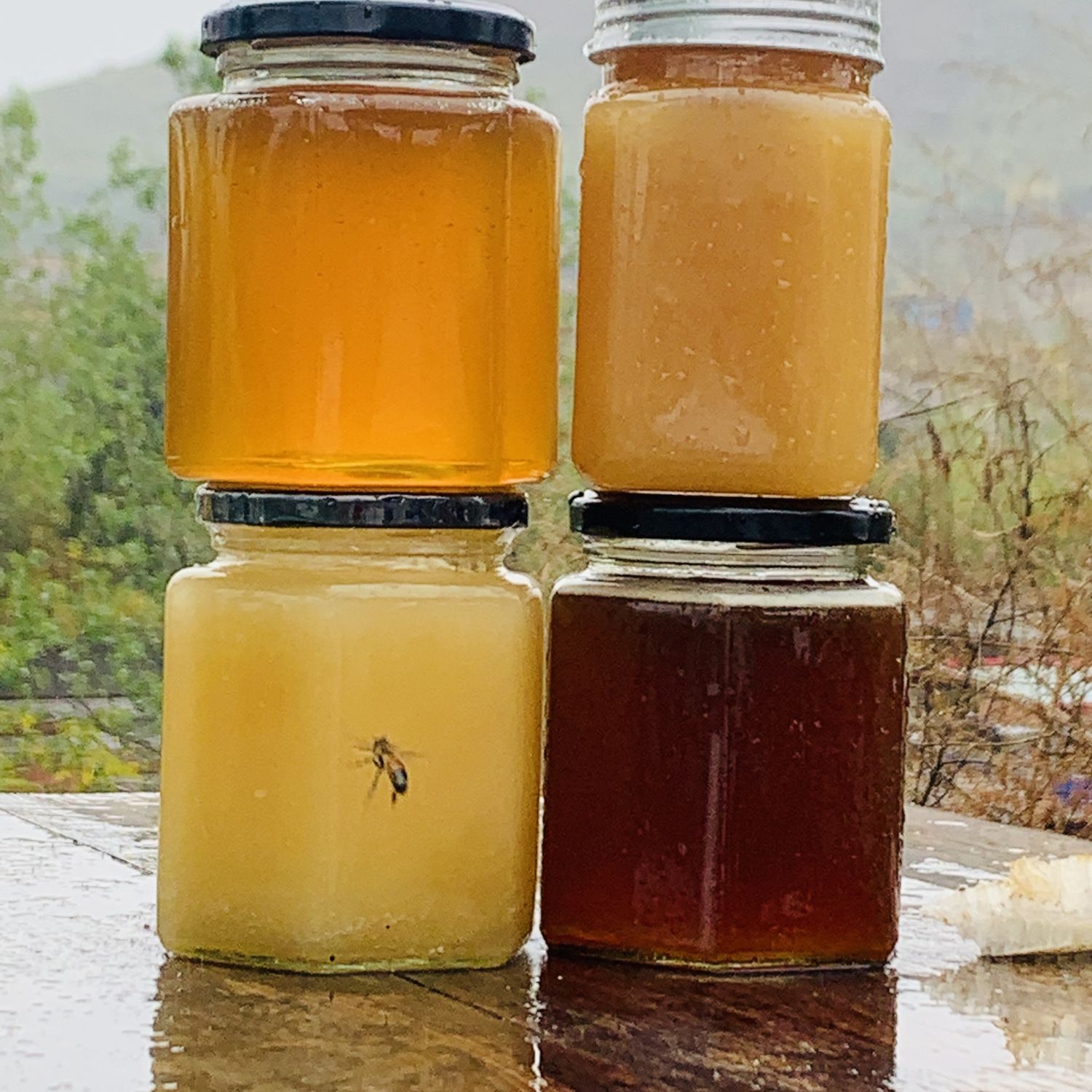 农家自产自销土蜂蜜野生天然正宗成熟百花蜜深山结晶蜜冬蜜纯蜜