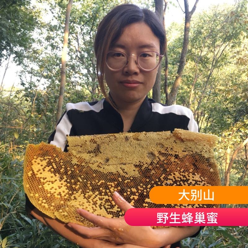 2021新鲜深山野生蜂巢蜜老巢蜜自产天然纯正一斤嚼着吃野蜂巢