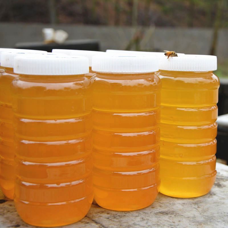 蜂蜜【十】花蜜天然农家蜂蜜500g无有添加原蜜结晶蜂蜜