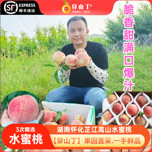 湖南怀化芷江水蜜桃_艾头坪牛牯坪高山水蜜桃_新鲜水果现摘现发