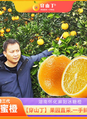 怀化麻阳锦蜜冰糖橙子纯甜无酸