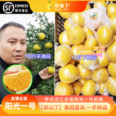 阳光一号桔柚_湖南怀化洪江阳光一号柑橘_三八妇女神节水果礼盒装