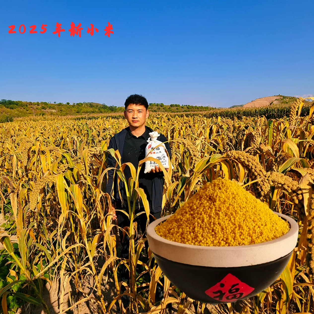 米脂油小米新鲜农家自产现磨非转基因煮粥软糯黄小米五谷杂粮粗粮