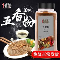 佳味浓五香粉500g五香粉调味料烧烤家用腊肉小炒烹饪牛肉佐料包邮