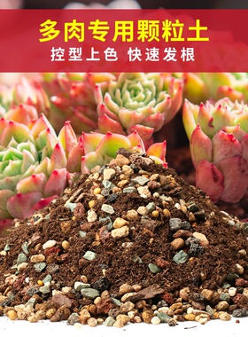 进口配方多肉纯颗粒土植物通用营养土肉肉叶插换盆铺面花泥炭土壤