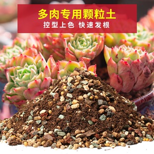 进口配方多肉纯颗粒土植物通用营养土肉肉叶插换盆铺面花泥炭土壤