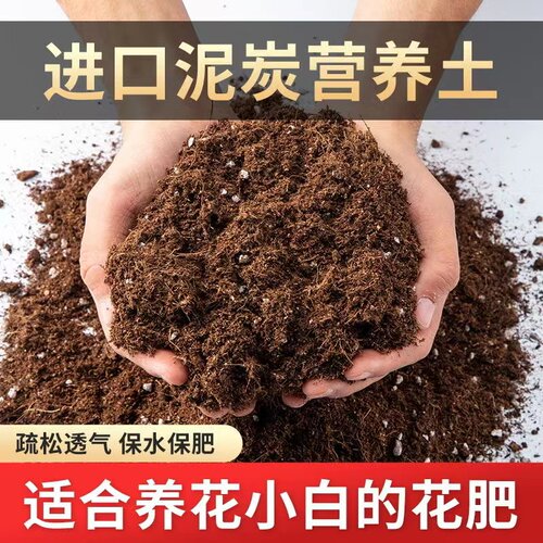 石淙通用泥炭营养土养花育苗