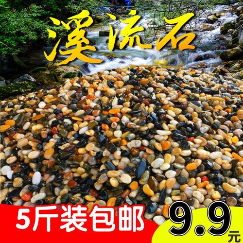 原生溪流石造景鱼缸底砂装饰五彩石大石头子纯天然铺底免洗鹅卵石