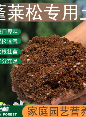 蓬莱松专用土营养绿植盆栽酸性