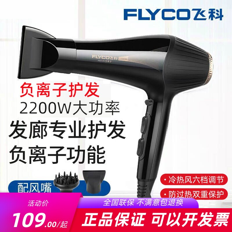 飞科电吹风机FH6101家用理发店发廊用负离子大功率专业吹风筒6231