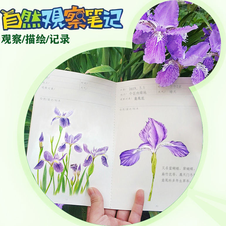 植物观察日记本记录植物观察动物植物观察记录本子a5自然手账本
