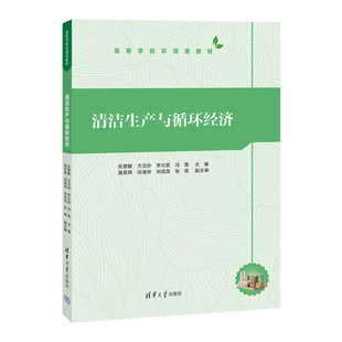 向速林 书籍 方汉孙 正版 张萌 邹成龙 聂发辉 冯霄 李兴发 张慧敏 清洁生产与循环经济