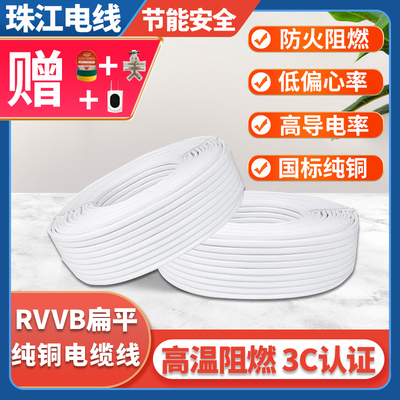 纯铜二芯护套线 线白色RVVB2芯1/1.5/ 2.5/4平方铜芯家用电线 线