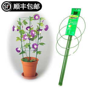 花支柱铁花架价格 花支柱铁花架图片 星期三