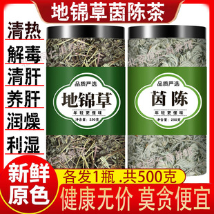 地锦草茵陈茶中药材正品野生新鲜干棉因陈地锦草泡水的功效与作用