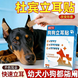 狗狗立耳贴迷你杜宾立耳器小狗专用立耳神器辅助器耳朵固定竖耳