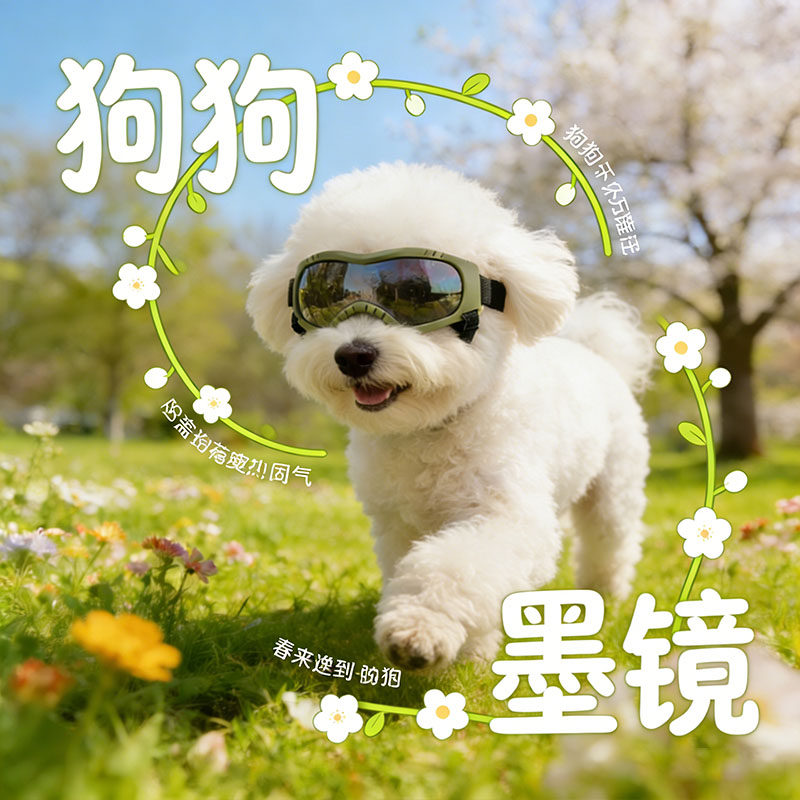 狗狗墨镜小型犬小体比熊专用眼镜防风镜宠物小狗护目镜外出用品
