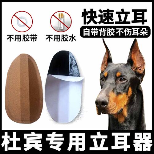 杜宾犬专用狗狗立耳器幼犬小狗立耳神器辅助器耳朵夹子立耳贴矫正