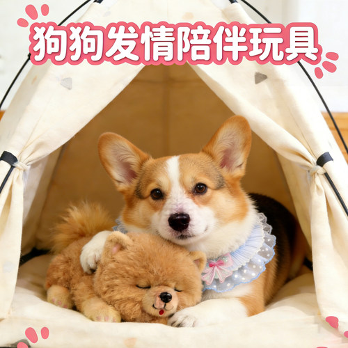柯基专用狗狗发情期玩具公狗交配骑跨自嗨解闷小狗女朋友安抚陪睡