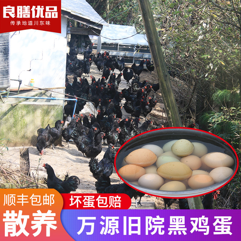 达州特产营养新鲜20枚绿壳孕妇食用富硒农家土散养万源旧院黑鸡蛋