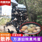 达州特产营养新鲜20枚绿壳孕妇食用富硒农家土散养万源旧院黑鸡蛋