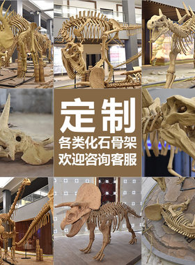 大型仿真恐龙骨架化石考古博物馆展览陈列骨骼标本摆件恐龙模型