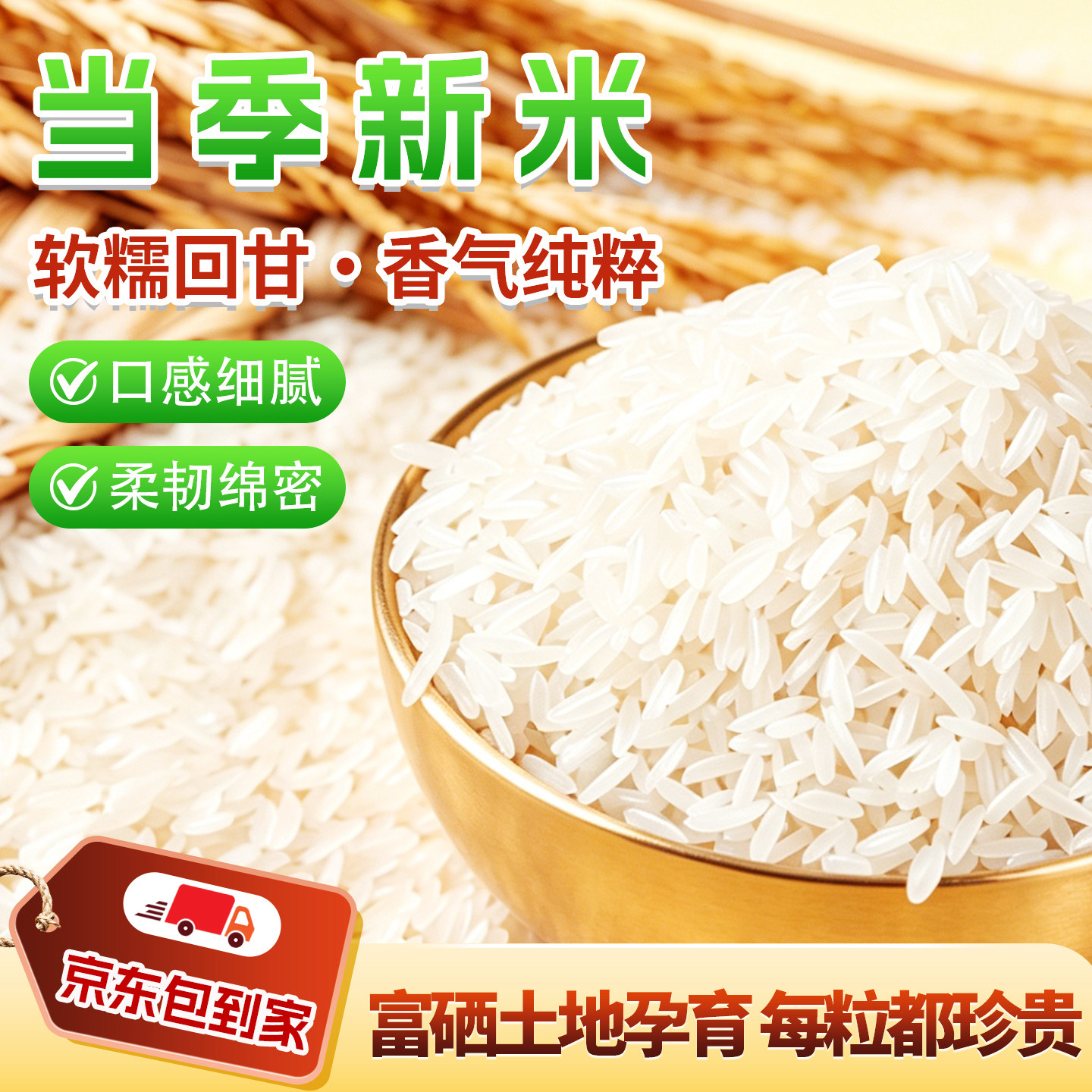 广西猫牙米长粒香新米煲仔饭5kg