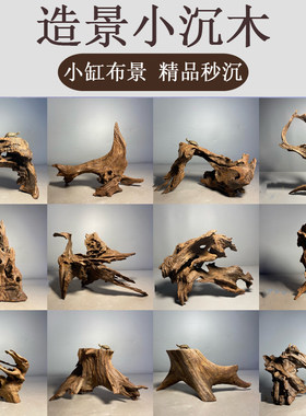 小号沉木迷你鱼缸造景布景摆件