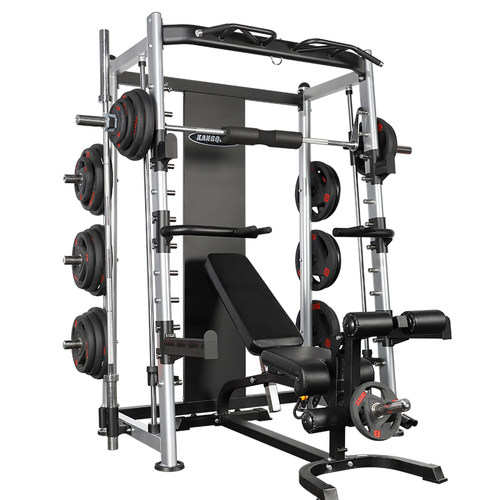 康强龙门架多功能家用综合训练器