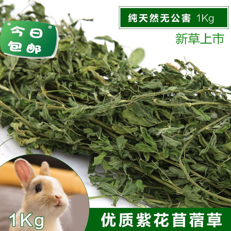 紫花苜蓿草兔子主粮幼兔草干草荷兰猪龙猫牧草饲料兔子吃的草包邮