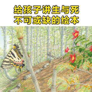 (正版)馆野鸿科学绘本全套4册蛩蠊斑蝥虎凤蝶埋葬虫昆虫科普书籍3-6岁幼儿园宝宝早教生物百科小学生认知自然界图画书