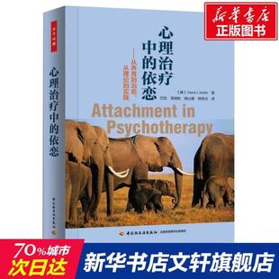 （正版）心理治疗中的依恋从养育到治愈从理论到实践 心理学入门基础书籍社会心理学 中国轻工业出版社 图