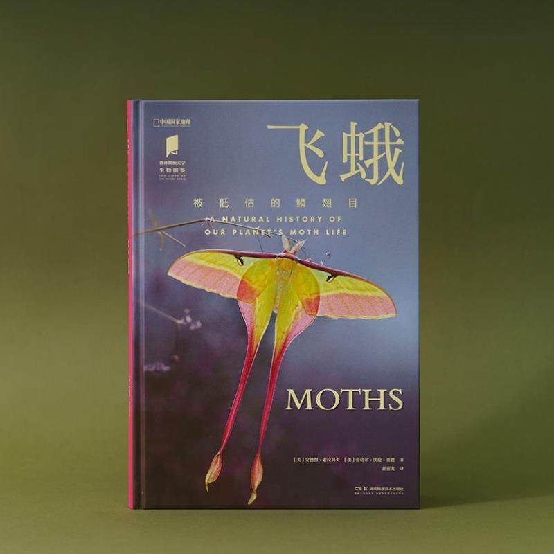 （正版）飞蛾 甲虫 共两册 中国国家地理普林斯顿大学生物图鉴系列昆虫自然百科科普读物
