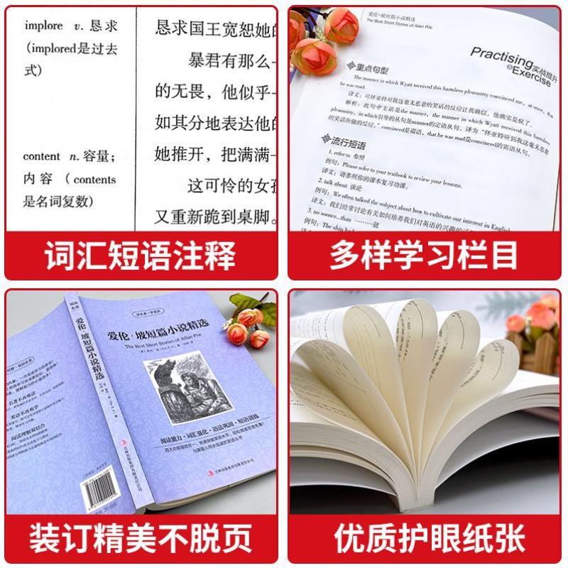 （正版）爱伦坡短篇小说精选中英文双语版暗黑故事全集读名著学英语英汉对照经典世界名著外国文学长篇小说英语读物初中高中生课外