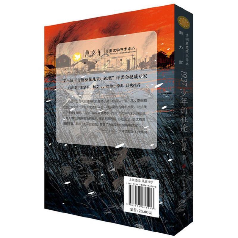 （正版）1937少年的征途 许敏球青铜葵花儿童小说获作品 6-9-12岁儿童文学作品小学生课外阅读书籍 天天出版