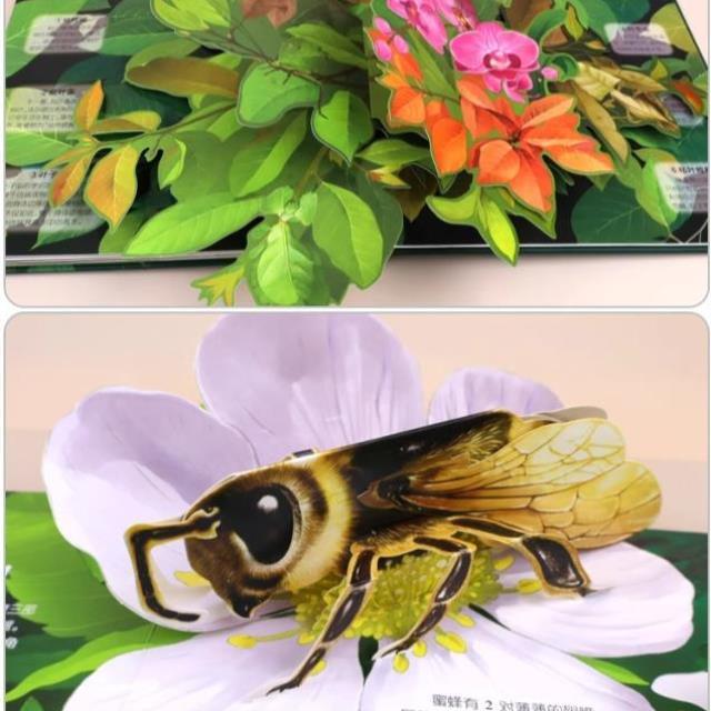 （正版）昆虫立体书揭秘系列儿童3翻翻书绘本故事书3-6-8岁以上科普百科全书情景体验认知宝宝读物小学生一二三年级上册昆虫记立体