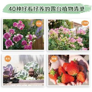 【正版图书]超实用我的露台花园 露台花园打造记阳台养花书籍40种植物图鉴与养护指南10位达人真实案例功能布局地面铺装软装搭配装