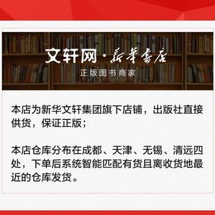 （正版）心理治疗中的依恋从养育到治愈从理论到实践 心理学入门基础书籍社会心理学 中国轻工业出版社 图