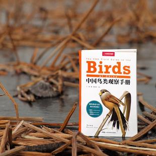 (正版)中国鸟类观察手册 中国鸟类行为动物科普图鉴 珍惜森林草原野鸟形态鸟类图鉴野生动物百科观鸟手册鸟类大全