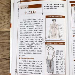 (正版)图解针灸大全/中医经络穴位书针炙学全书入门刺血疗法全一针疗法马氏温灸法黄帝内针灸绳基本功大成甲乙经针灸秘验与绝招