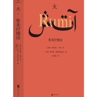 （正版）鲁米灵性诗集全6册 醒来的人 在春天走进果园 偷走睡眠的人 火 万物生而有翼 让我们来谈谈我们的灵魂苏菲派 外国小说诗歌