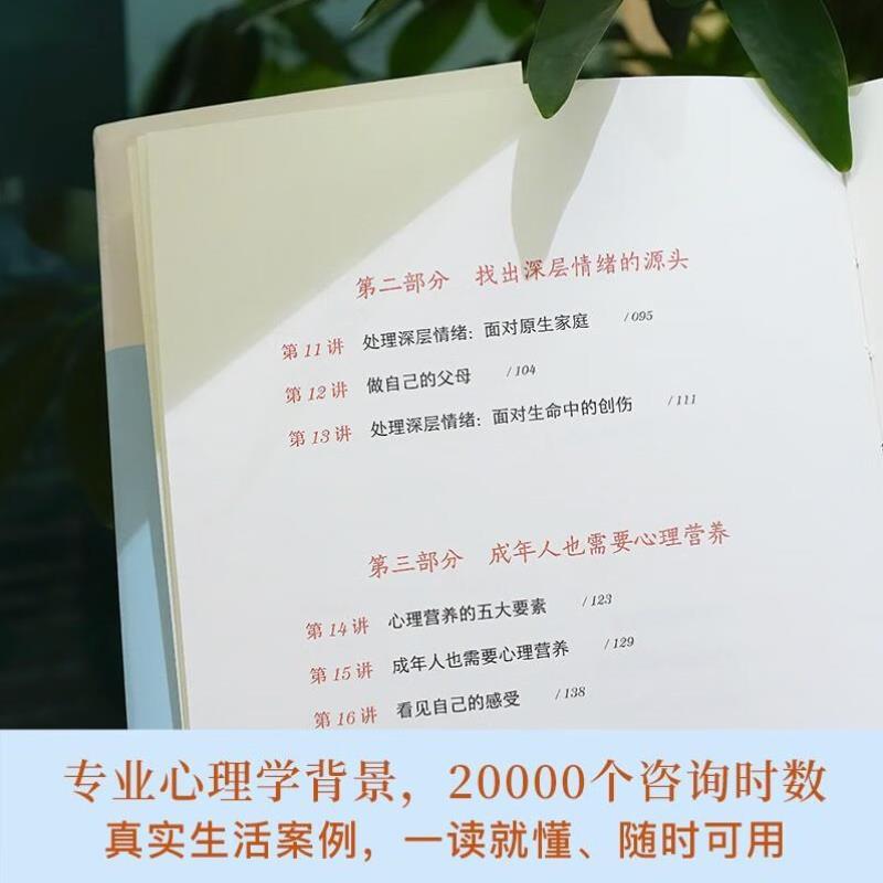 （正版）青豆书坊】情绪疗愈林文采情绪疏放18讲 林文采 释放掉不良情绪 疗愈原生家庭 摆脱情绪难题的困扰 与自己和解心理学书籍