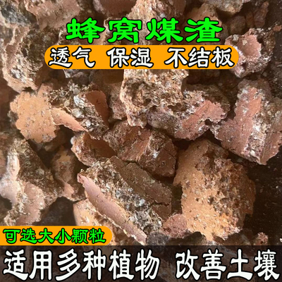 蜂窝煤渣多肉盆栽园艺通用防结板