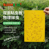 bloombgz黄板双面粘虫板阳台诱虫板大棚果园诱蝇球沾果蝇诱捕神器