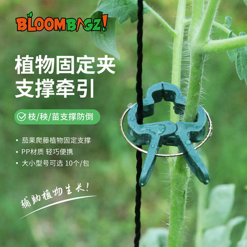 植物枝条固定夹蝴蝶兰支架夹子